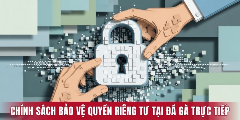 Chính sách bảo vệ quyền riêng tư tại Đá gà trực tiếp