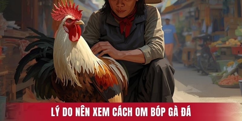 Lý do nên xem cách om bóp gà đá