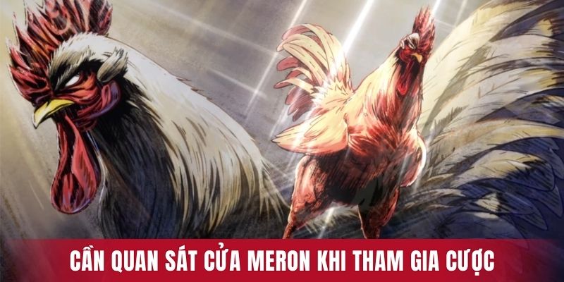 Mẹo chơi đá gà Tonhon trực tiếp hiệu quả khi quan sát cửa Meron