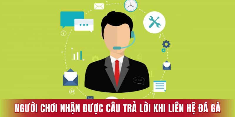 Người chơi nhận được câu trả lời khi liên hệ đá gà trực tiếp