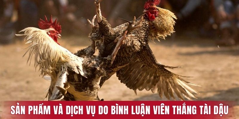 Sản phẩm và dịch vụ do bình luận viên Thắng Tài Dậu đồng hành phát triển
