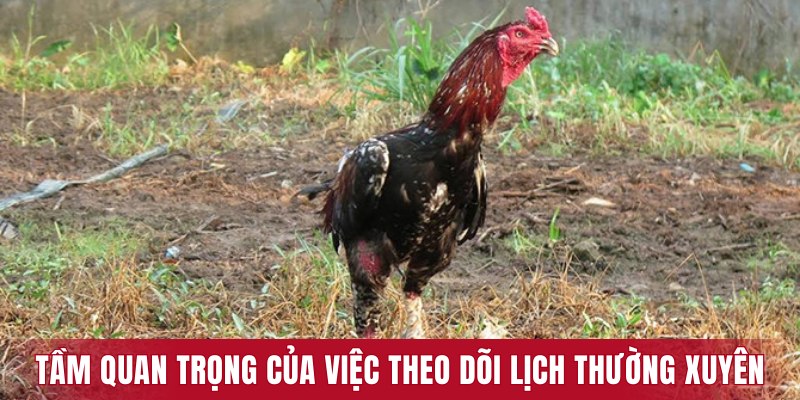 Tầm quan trọng của việc theo dõi lịch thường xuyên